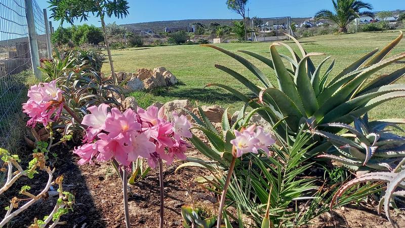 0 Bedroom Property for Sale in Long Acres Country Estate Western Cape